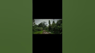 إِذَا نُودِيَ لِلصَّلَاةِ مِن يَوْمِ الْجُمُعَةِ  #قران_كريم #تلاوة_خاشعة #ماهرالمعيقلي #قران