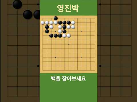 바둑 묘수 사활 (수상전의 급소를 찾아라)  백을 잡아보세요