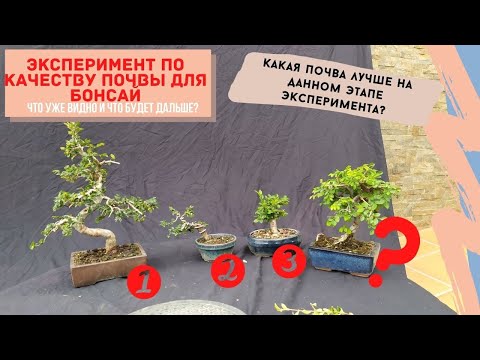 Видео: Узнайте о хорошо дренируемой почве - как узнать, хорошо ли дренирует почва