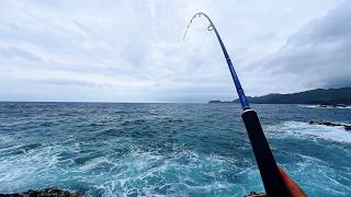 荒磯からヤツが ⇒ 庭に激ミニ菜園を開墾 ⇒ 例の巨大怪魚を蒸す！