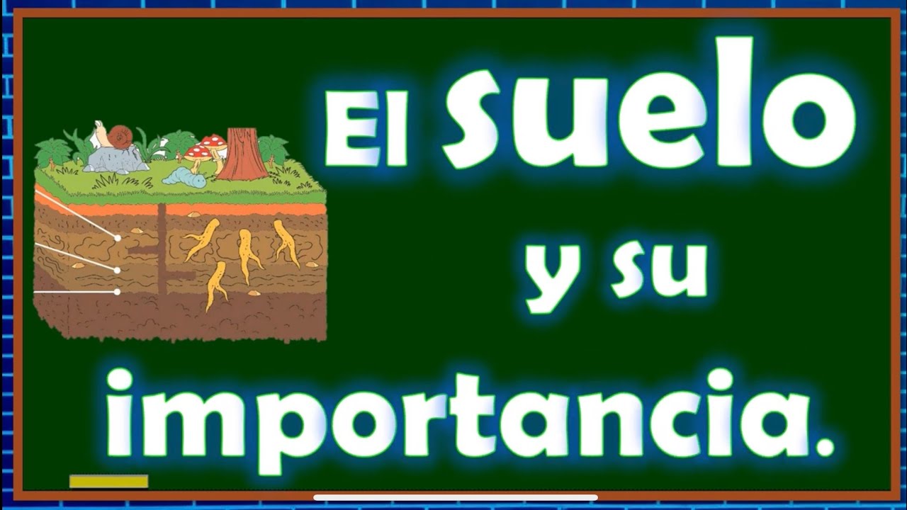 El suelo y su importancia - YouTube