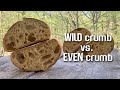 WILD CRUMB or EVEN CRUMB: How to get them. | By JoyRideCoffw