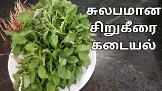 சிறுகீரை கடையல்|Sirukeerai Kadayal Recipe in Tamil|Sirukeerai Masiyal Recipe|Keerai Kadayal|KFS|22