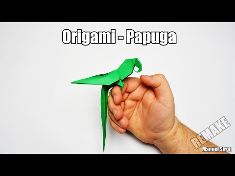 Wideo: Jak Zrobić Papugę Z Papieru