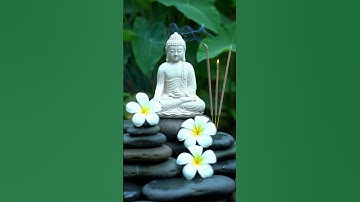 🧘‍♂️Gamelan Harmony Deep Relaxation & Focus II Harmony Vibes🧘‍♂️ #balinesemusic #calmingmusic