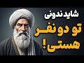 چرا ابن عربی اعتقاد داشت دو جان در بدن انسان وجود داره