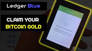 How to Claim Bitcoin Gold on Ledger Blue [BTG] screenshot 2