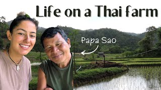 Volunteering on a Farm in Thailand | Worldpackers Experience screenshot 5