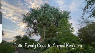 Disney’s Animal Kingdom in 27 Minutes. The Cotto Family Experience Pt #2