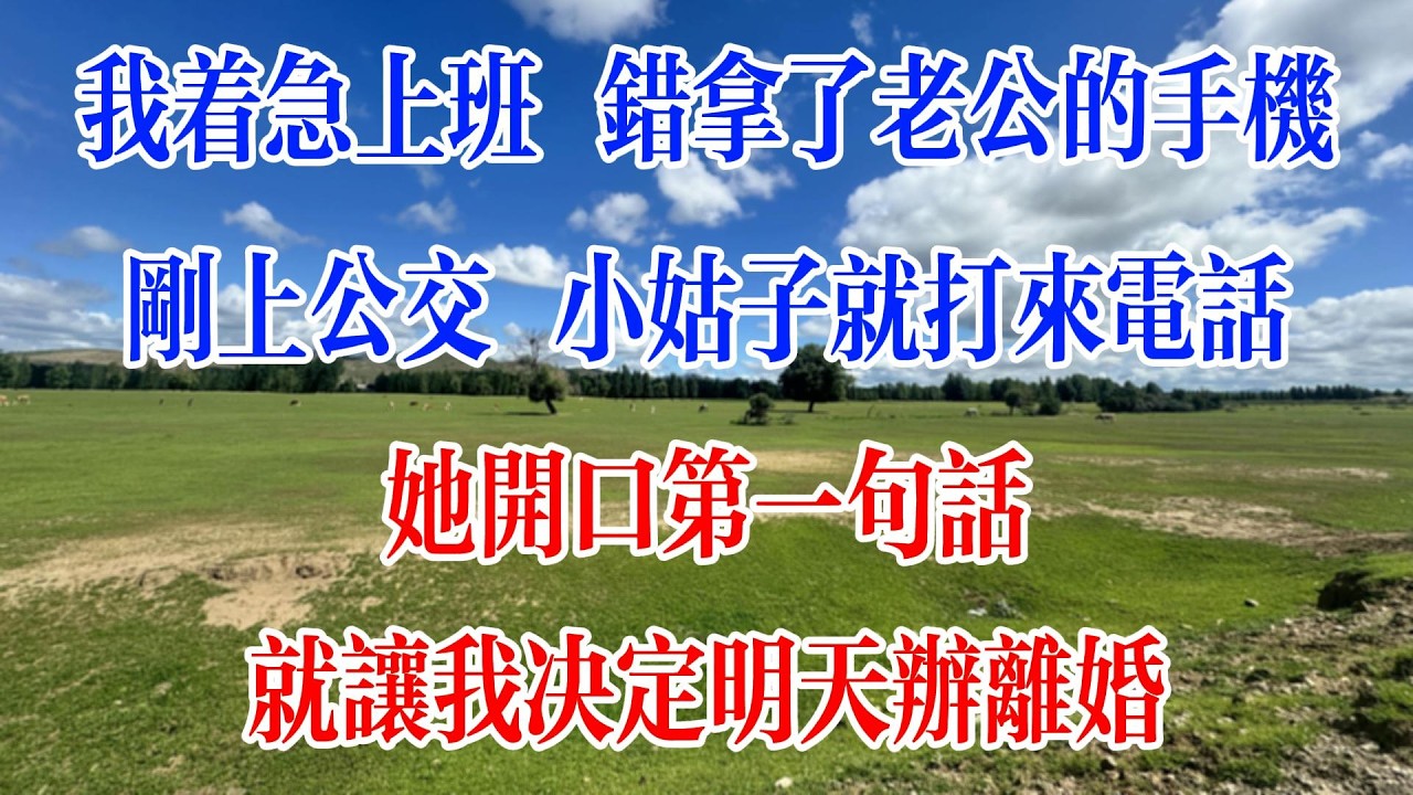 我著急上班，錯拿了老公的手機。剛上公車，小姑就打電話，她開口第一句話，就讓我決定明天辦離婚！#情感故事 #為人處世 #生活經驗 #人生感悟 #情感 #戀愛 #婚姻