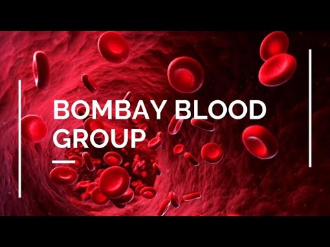 What is BOMBAY BLOOD GROUP? What makes hh blood rare and how it was discovered? - YouTube