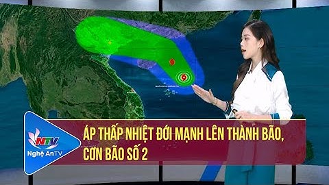 Dự báo thời tiết đêm 9, ngày 10/8/2022: Áp thấp nhiệt đới mạnh lên thành bão, cơn bão số 2