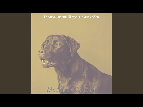 Гладкий; плавный Музыка для собак - Звуки (Собаки)