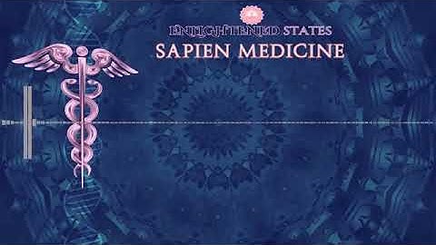 Internal Alchemy Series 5: Automated Micro Cosmic Orbit by Sapien Medicine ver2.0