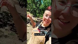 Live radiestesia y geobiologia en tiktok