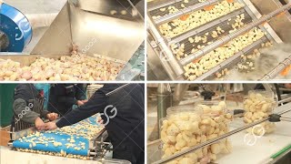 500Kg/H Garlic Process Machine Line  Cutting Splitting Peeling Washing Packaging