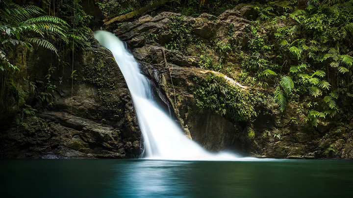 Rio Seco Waterfall - Trinidad & Tobago