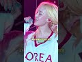 Today's K-pop Updates