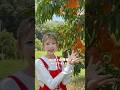 「岡山県産白桃グミ」をご紹介🍑1玉ずつ丁寧に袋をかけて育てられた岡山県産白桃を使用。芳醇な香りと、上品でやさしい甘みが楽しめます‼️ #ニッポンエール #全農 #akb48 #白桃 #千葉恵里