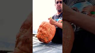 A Pumpkin That Looks Like a Human Face?Buyers Are Shocked by the Price!🧠💸 #shortsfeed #shorts #viral