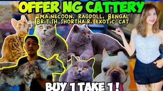 WOW! MAGAGANDANG PUSA NAKA BUY 1 TAKE 1, BAGSAK PRESYO DIN SA MGA ASO! by Tita A's Vlog 1,788 views 2 weeks ago 28 minutes