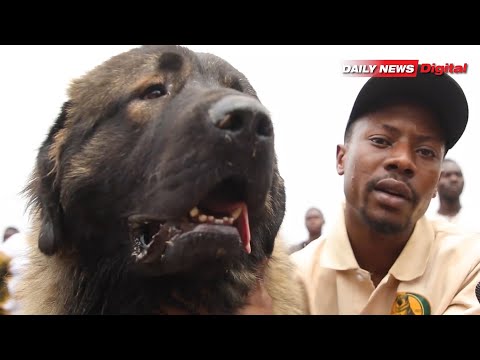 MBWA WA BEI KUBWA NDANI YA NANE NANE