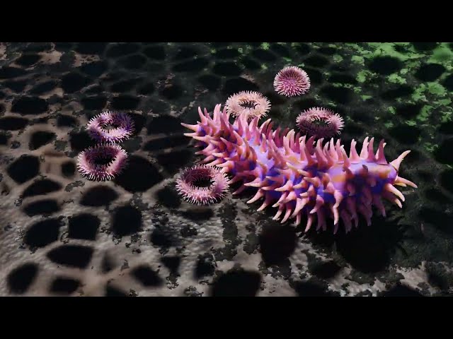 3D Vincent - 海底生物 3D Vincent - 海底生物