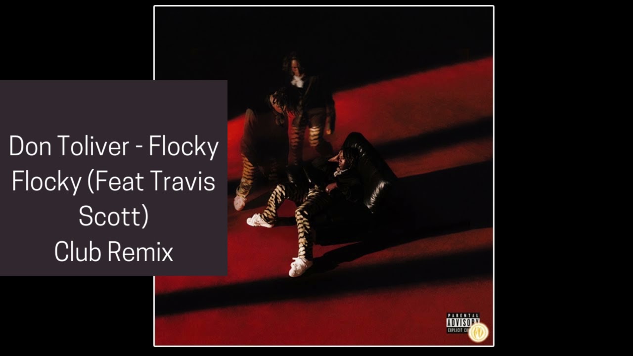 Don Toliver - Flocky Flocky (feat. Travis Scott) [House Remix]