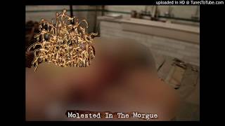 Worm Eaten Rectum - Molested In The Morgue