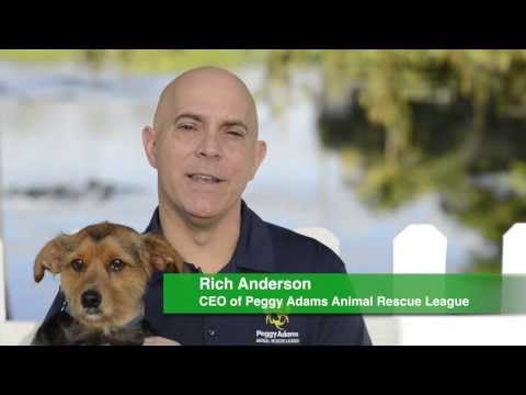 Peggy Adams Pet