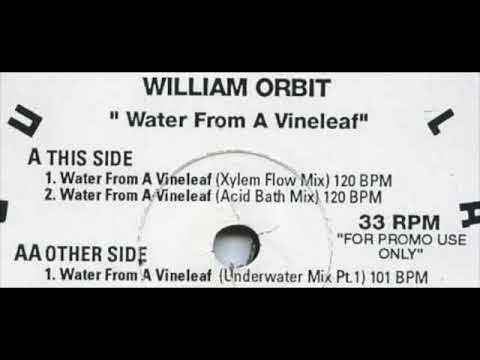 William Orbit - Water From a Vine Leaf - (Xylem Flow Mix)
