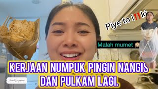 Download Lagu HARI 1 \u0026 TERSIBUK  SETELAH KEMBALI KE SINGAPORE‼️MALAH PINGIN NANGIS KERJAAN BANYAK🙈‼️ MP3