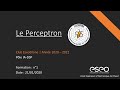 Formation IA-DSP #1 : Le perceptron par Sébastien Pradier