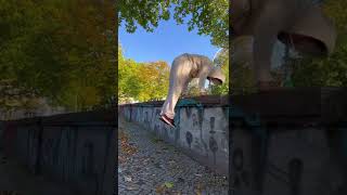 Monkey D. CAT | Parkour Tutorial | Easy