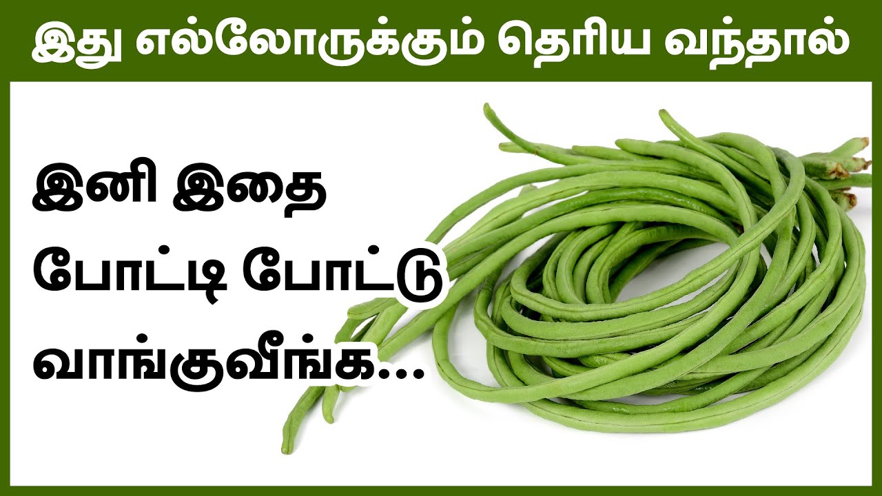 Cowgram Karamani Health Benefits in Tamil YouTube