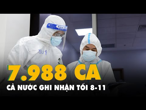 Tối 8-11: Cả nước thêm 7.988 ca COVID-19 mới, ca nhiễm tăng tại TP.HCM với 1.316 ca