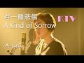 A-Lin - 有一种悲伤 A Kind of Sorrow【Pinyin Lyrics 拼音歌词】KTV