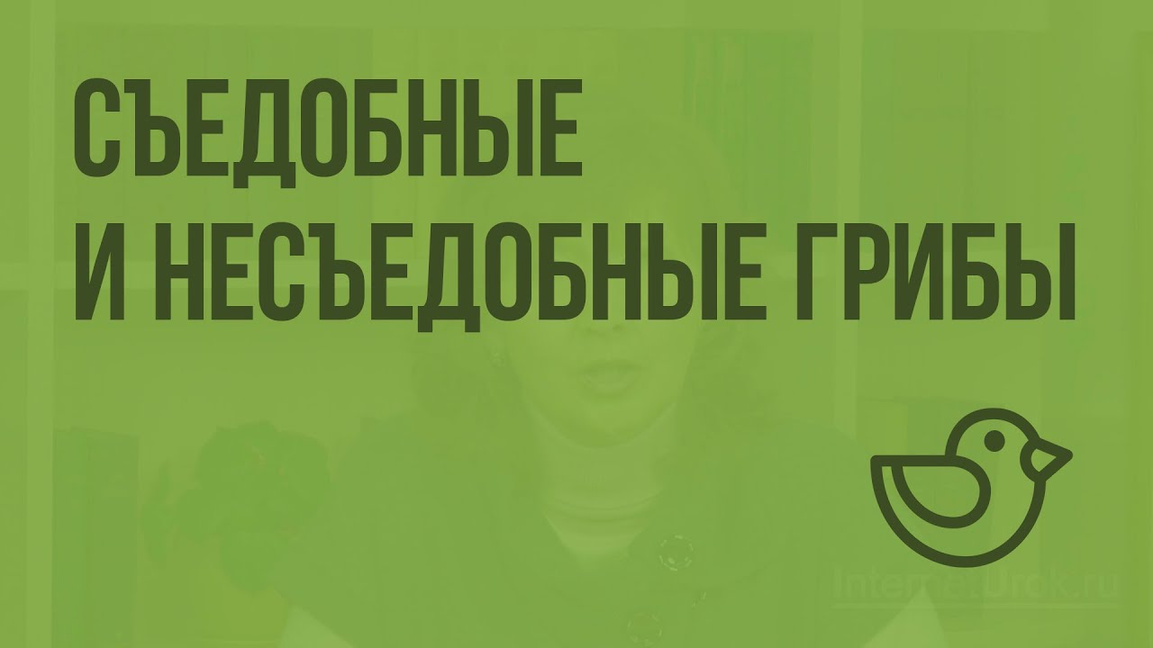 Контрольная работа по теме Ядовитые грибы и ягоды