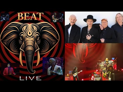 BEAT (KING CRIMSON) w/  Belew,Levin,Vai,Carey drop Frame by Frame live off new live album!