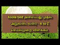 Asola bed அமைப்பது முதல் அறுவடை வரை | A to Z செயல்முறை விளக்கம் | 8 நாள் வளர்ச்சி ஒரே பதிவில் #Asola