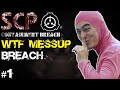 The Most Insane Mod I've Ever Played... | SCP: CB | SCP WTF Messup Breach