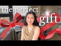 The perfect gift for medical students  gift guidewishlist for the holidays