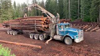 Self Loading Logging Truck