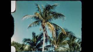 1953 Florida, 8mm Kodachrome Film, Custom-Built Machine Vision Scanner Transfer