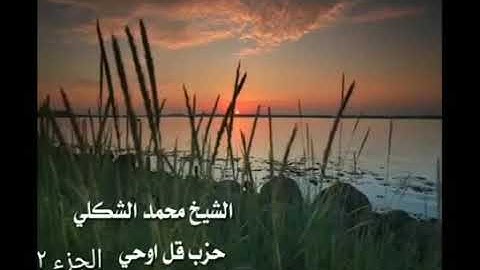 لا أقسم بيوم القيامه ولا أقسم بالنفس اللوامه يالها من تلاوة ارح روحك يامهموم