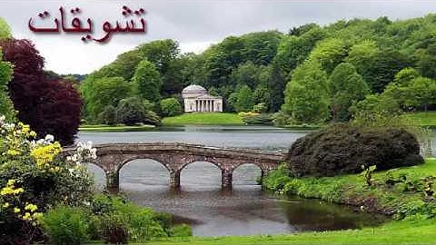 تلاوة هادئه ومؤثرة بصوت القارئ محمد اللحيدان (إِنَّ الَّذِينَ يَتْلُونَ كِتَابَ اللَّهِ )