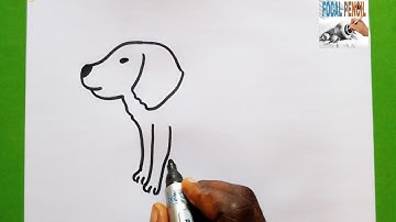 How To Draw American water spaniel ( Dog Drawing tutorial)