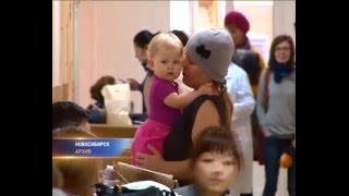 вакцинация от энцефалита вакцинация от энцефалита