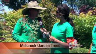 Millcreek Garden Trees Salt Lake City Utah