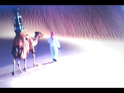 newtechno 01.01 პრომო